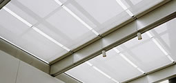 Roof canopy blinds